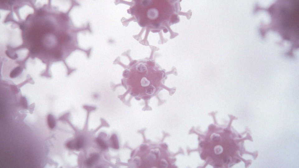 Jakie są typy wirusa HPV i jakie mają konsekwencje zdrowotne?