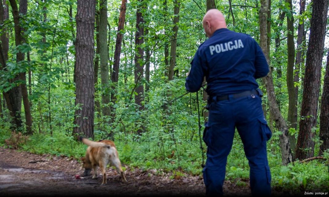 Policyjny dozór dla sprawcy przemocy domowej w Piszu